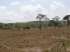 Fazenda em pedro afonso-to com 566 hectares